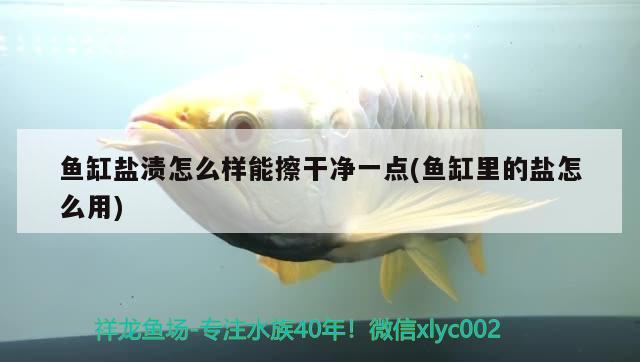 魚缸鹽漬怎么樣能擦干凈一點(diǎn)(魚缸里的鹽怎么用)