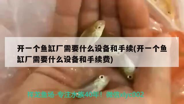 開一個(gè)魚缸廠需要什么設(shè)備和手續(xù)(開一個(gè)魚缸廠需要什么設(shè)備和手續(xù)費(fèi))