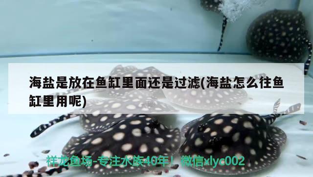 海鹽是放在魚缸里面還是過濾(海鹽怎么往魚缸里用呢)