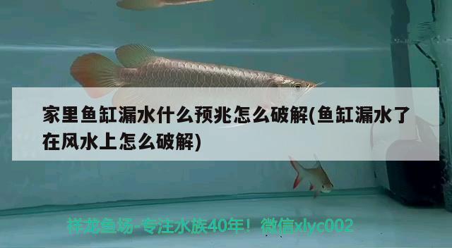 家里魚缸漏水什么預兆怎么破解(魚缸漏水了在風水上怎么破解) 魚缸風水 第1張