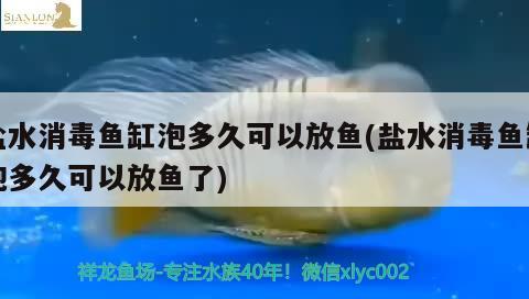 鹽水消毒魚缸泡多久可以放魚(鹽水消毒魚缸泡多久可以放魚了) 廣州水族器材濾材批發(fā)市場