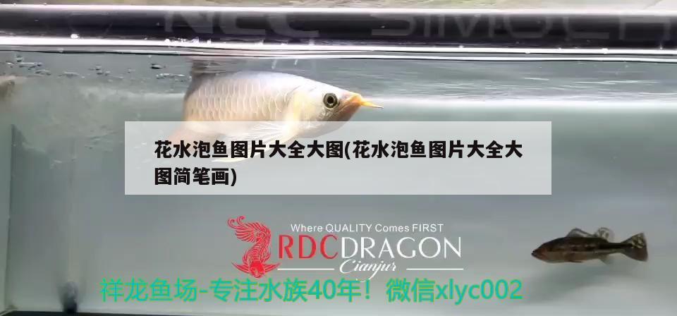 花水泡魚圖片大全大圖(花水泡魚圖片大全大圖簡筆畫)