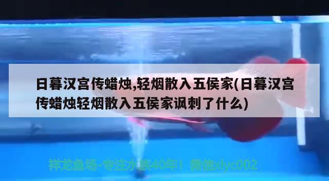 日暮漢宮傳蠟燭,輕煙散入五侯家(日暮漢宮傳蠟燭輕煙散入五侯家諷刺了什么) 觀賞魚(yú)