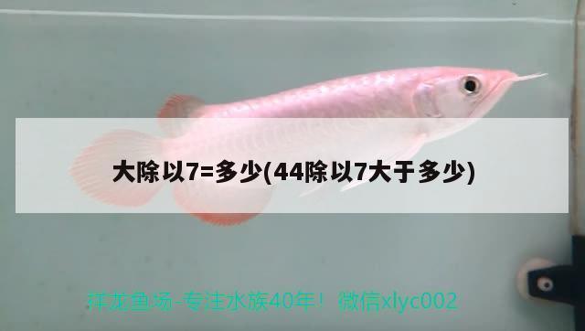 大除以7=多少(44除以7大于多少) 觀賞魚