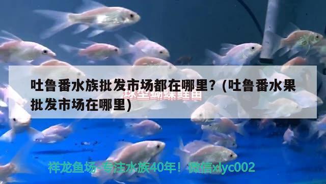 吐魯番水族批發(fā)市場(chǎng)都在哪里？(吐魯番水果批發(fā)市場(chǎng)在哪里) 觀賞魚(yú)水族批發(fā)市場(chǎng)