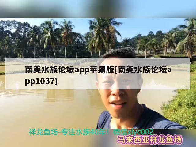 南美水族論壇app蘋果版(南美水族論壇app1037)