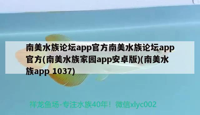 南美水族論壇app官方南美水族論壇app官方(南美水族家園app安卓版)(南美水族app1037)