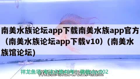 南美水族論壇app下載南美水族app官方（南美水族論壇app下載v10）(南美水族館論壇)