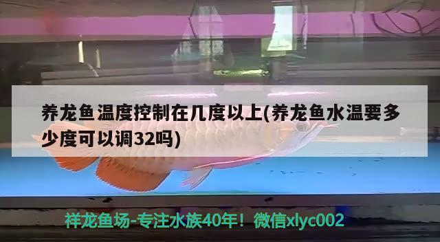 養(yǎng)龍魚溫度控制在幾度以上(養(yǎng)龍魚水溫要多少度可以調(diào)32嗎)