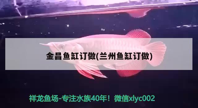 金昌魚缸訂做(蘭州魚缸訂做)