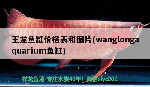 王龍魚缸價格表和圖片(wanglongaquarium魚缸)