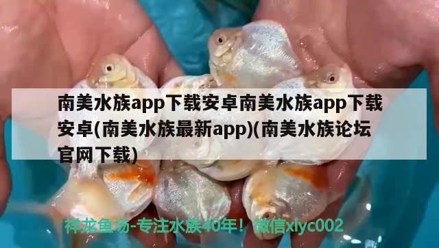 南美水族app下載安卓南美水族app下載安卓(南美水族最新app)(南美水族論壇官網(wǎng)下載)