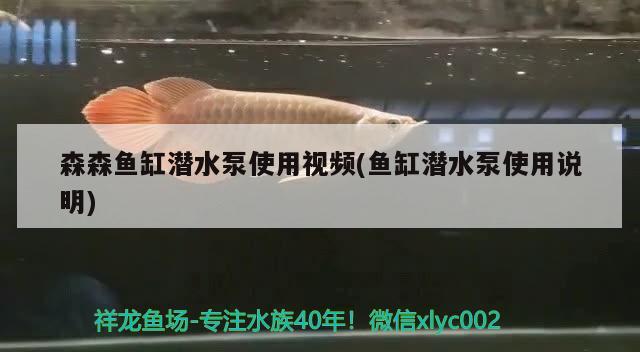 森森魚(yú)缸潛水泵使用視頻(魚(yú)缸潛水泵使用說(shuō)明)