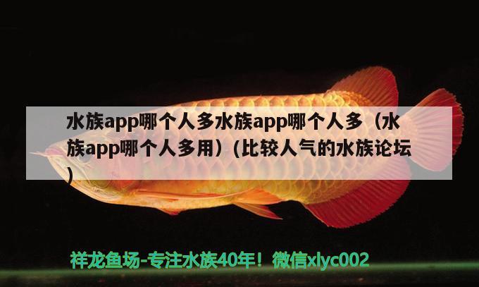 水族app哪個人多水族app哪個人多（水族app哪個人多用）(比較人氣的水族論壇)