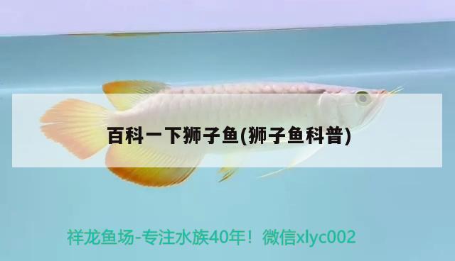 百科一下獅子魚(獅子魚科普)