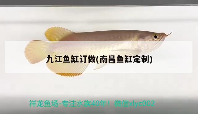 九江魚缸訂做(南昌魚缸定制)