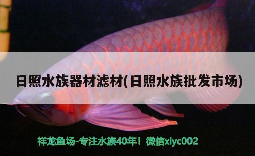 日照水族器材濾材(日照水族批發(fā)市場) 觀賞魚水族批發(fā)市場