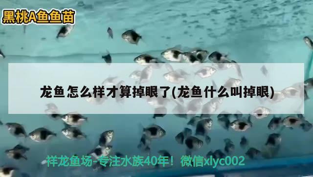 龍魚(yú)怎么樣才算掉眼了(龍魚(yú)什么叫掉眼)