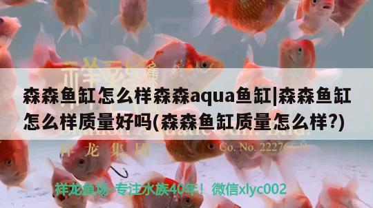 森森魚缸怎么樣森森aqua魚缸|森森魚缸怎么樣質(zhì)量好嗎(森森魚缸質(zhì)量怎么樣?) 泰國雪鯽魚