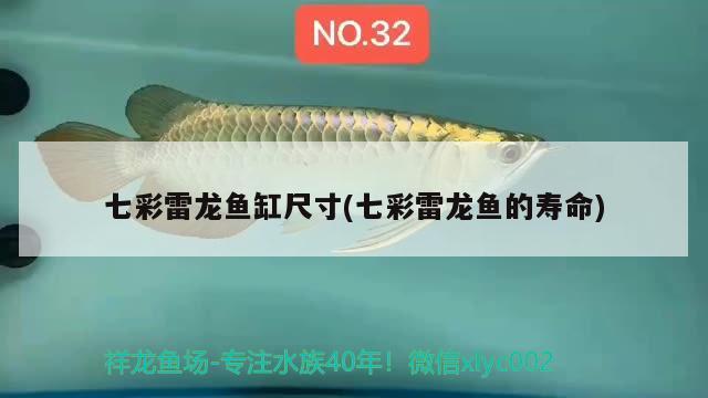 七彩雷龍魚缸尺寸(七彩雷龍魚的壽命)