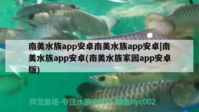 南美水族app安卓南美水族app安卓|南美水族app安卓(南美水族家園app安卓版)