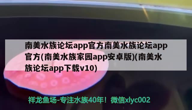 南美水族論壇app官方南美水族論壇app官方(南美水族家園app安卓版)(南美水族論壇app下載v10)