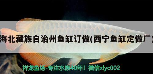 海北藏族自治州魚缸訂做(西寧魚缸定做廠)