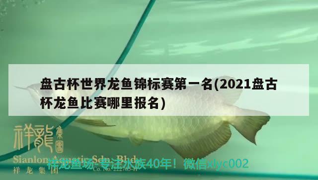 盤古杯世界龍魚錦標(biāo)賽第一名(2021盤古杯龍魚比賽哪里報名)