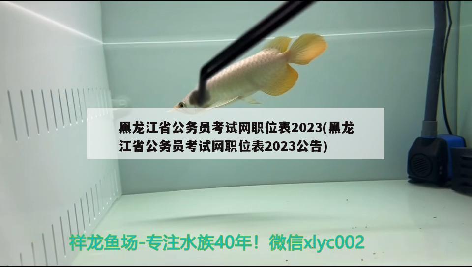 黑龍江省公務(wù)員考試網(wǎng)職位表2023(黑龍江省公務(wù)員考試網(wǎng)職位表2023公告)