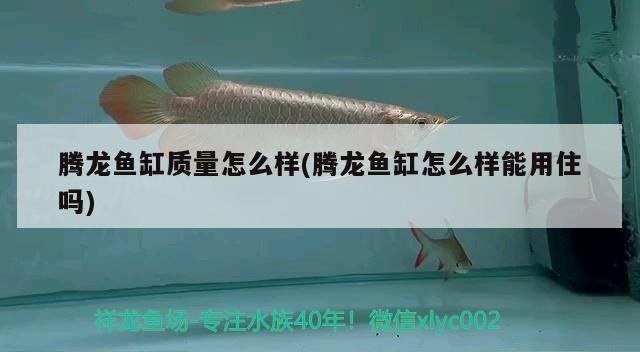 騰龍魚缸質(zhì)量怎么樣(騰龍魚缸怎么樣能用住嗎)