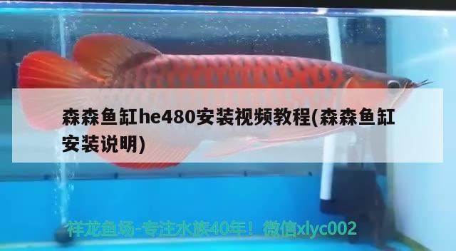 森森魚缸he480安裝視頻教程(森森魚缸安裝說明) 帝王迷宮