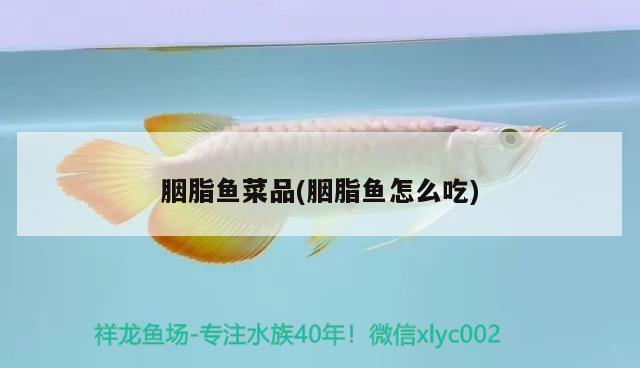 胭脂魚(yú)菜品(胭脂魚(yú)怎么吃)