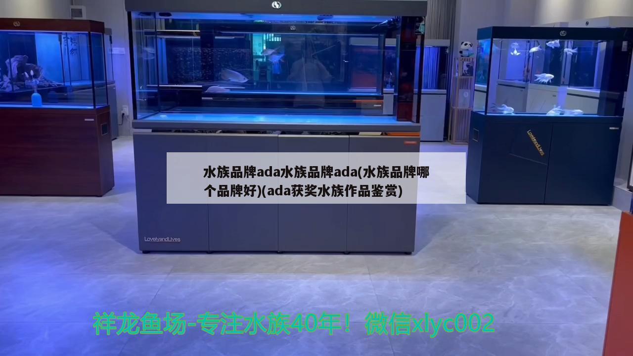 水族品牌ada水族品牌ada(水族品牌哪個(gè)品牌好)(ada獲獎(jiǎng)水族作品鑒賞)