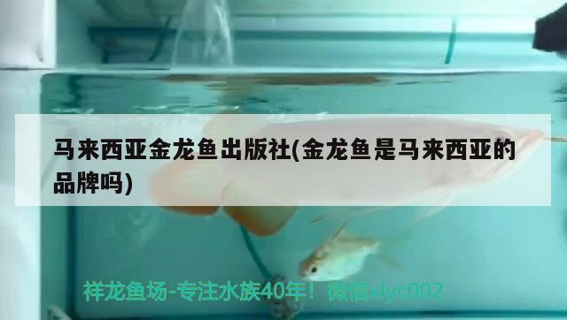 馬來西亞金龍魚出版社(金龍魚是馬來西亞的品牌嗎)