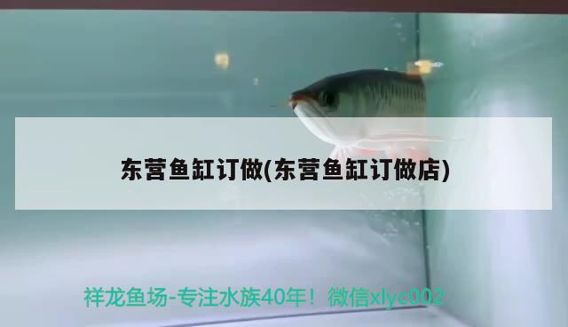 東營魚缸訂做(東營魚缸訂做店) 2024第28屆中國國際寵物水族展覽會CIPS（長城寵物展2024 CIPS）