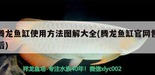 騰龍魚(yú)缸使用方法圖解大全(騰龍魚(yú)缸官網(wǎng)售后)