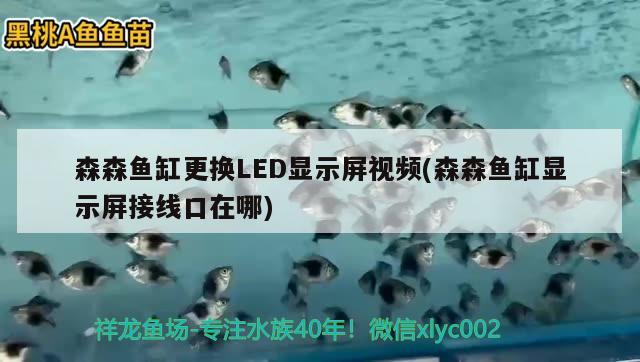 森森魚缸更換LED顯示屏視頻(森森魚缸顯示屏接線口在哪)