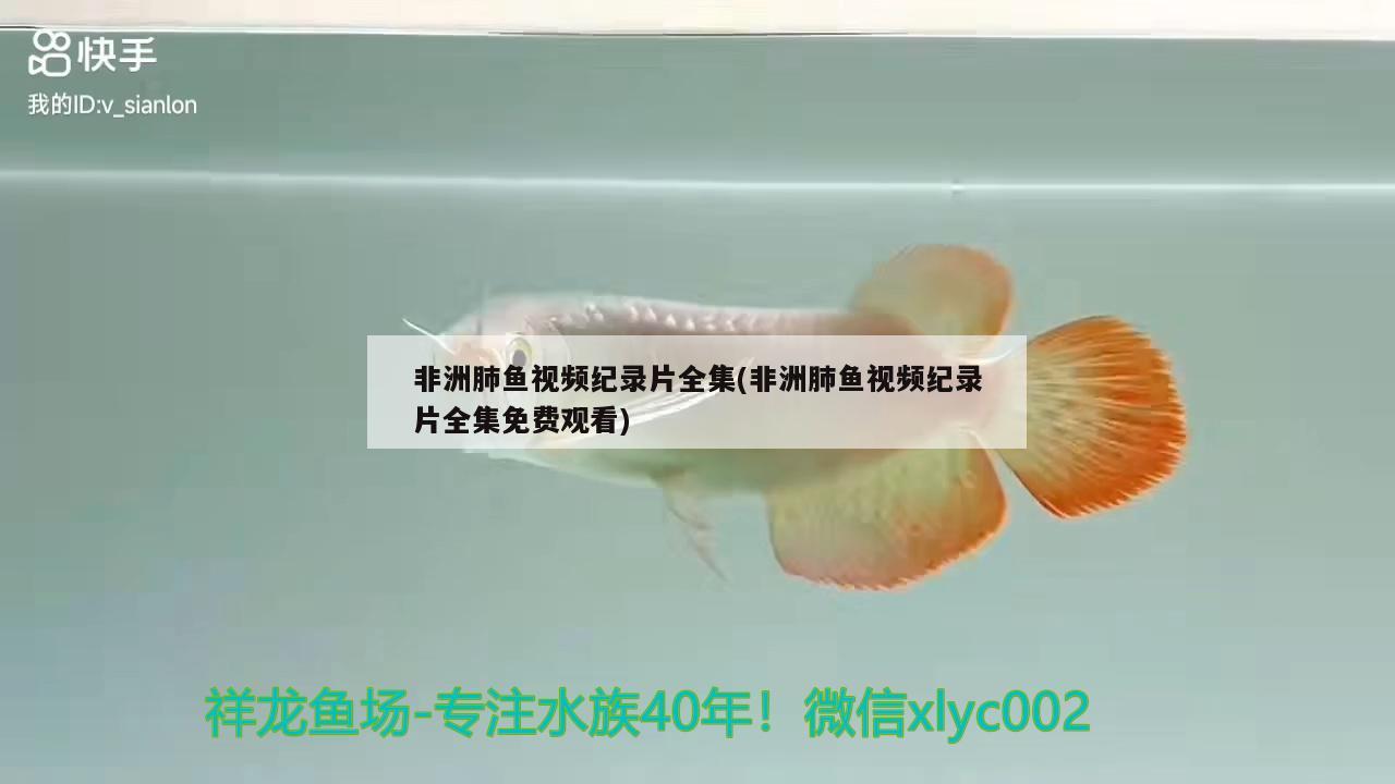 非洲肺魚視頻紀錄片全集(非洲肺魚視頻紀錄片全集免費觀看)