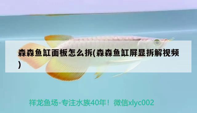 森森魚缸面板怎么拆(森森魚缸屏顯拆解視頻) 白子銀龍魚苗