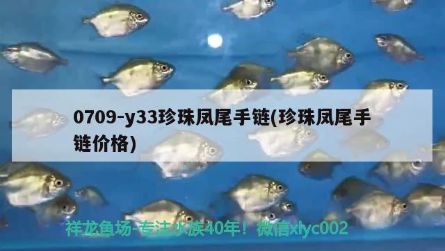 0709-y33珍珠鳳尾手鏈(珍珠鳳尾手鏈價(jià)格) 觀賞魚