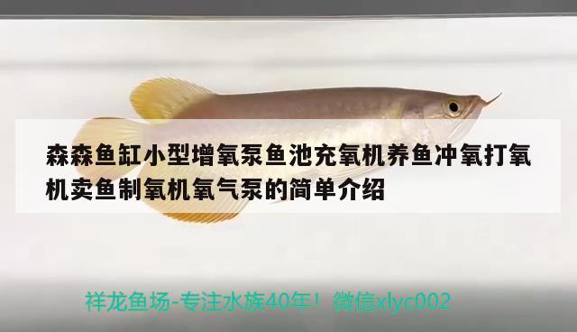 森森魚缸小型增氧泵魚池充氧機(jī)養(yǎng)魚沖氧打氧機(jī)賣魚制氧機(jī)氧氣泵的簡單介紹