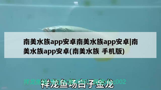 南美水族app安卓南美水族app安卓|南美水族app安卓(南美水族手機版)