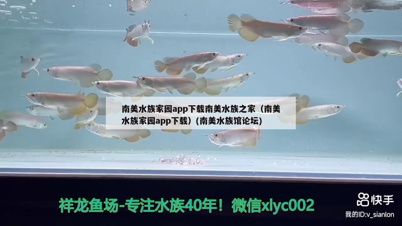 南美水族家園app下載南美水族之家（南美水族家園app下載）(南美水族館論壇) 祥龍魚(yú)藥系列