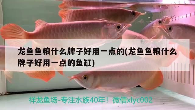 龍魚魚糧什么牌子好用一點的(龍魚魚糧什么牌子好用一點的魚缸)