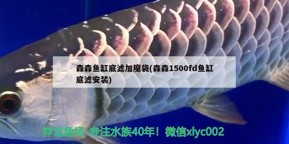 森森魚缸底濾加魔袋(森森1500fd魚缸底濾安裝) 魚缸凈水劑