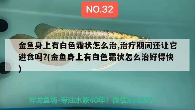 金魚身上有白色霜狀怎么治,治療期間還讓它進(jìn)食嗎?(金魚身上有白色霜狀怎么治好得快)