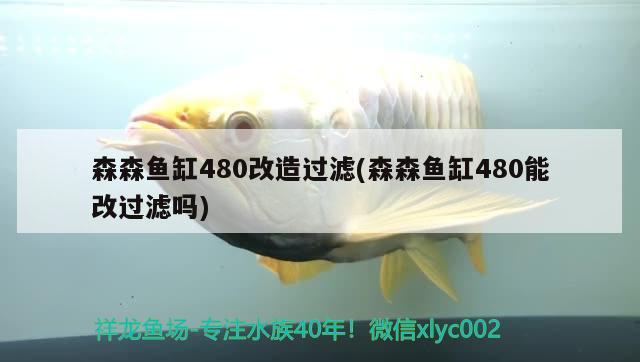 森森魚缸480改造過濾(森森魚缸480能改過濾嗎) 殺菌消毒設備