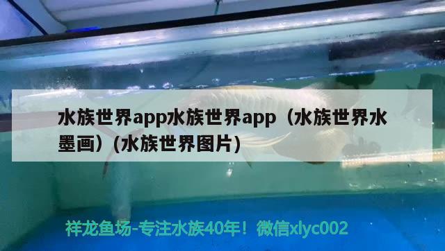 水族世界app水族世界app（水族世界水墨畫(huà)）(水族世界圖片)