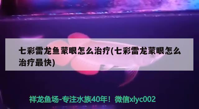 七彩雷龍魚(yú)蒙眼怎么治療(七彩雷龍蒙眼怎么治療最快)