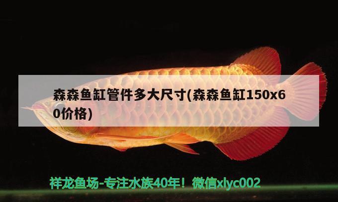 森森魚缸管件多大尺寸(森森魚缸150x60價格) 元寶鯽